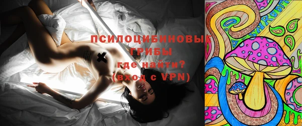 ГАЛЛЮЦИНОГЕННЫЕ ГРИБЫ Алексин