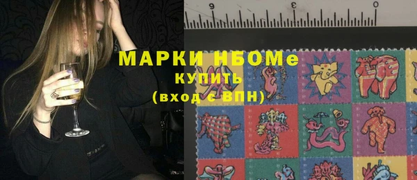 стафф Новокубанск