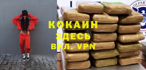 дурь Новодвинск