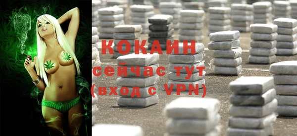 стафф Новокубанск