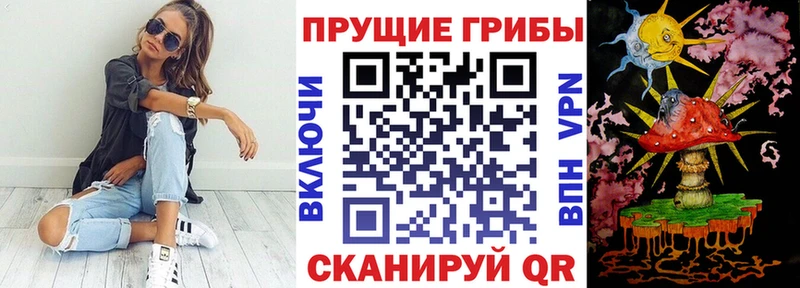 Псилоцибиновые грибы Psilocybine cubensis  хочу   Юрьевец 
