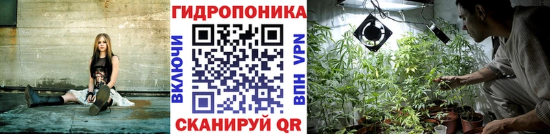 Каннабис конопля Юрьевец